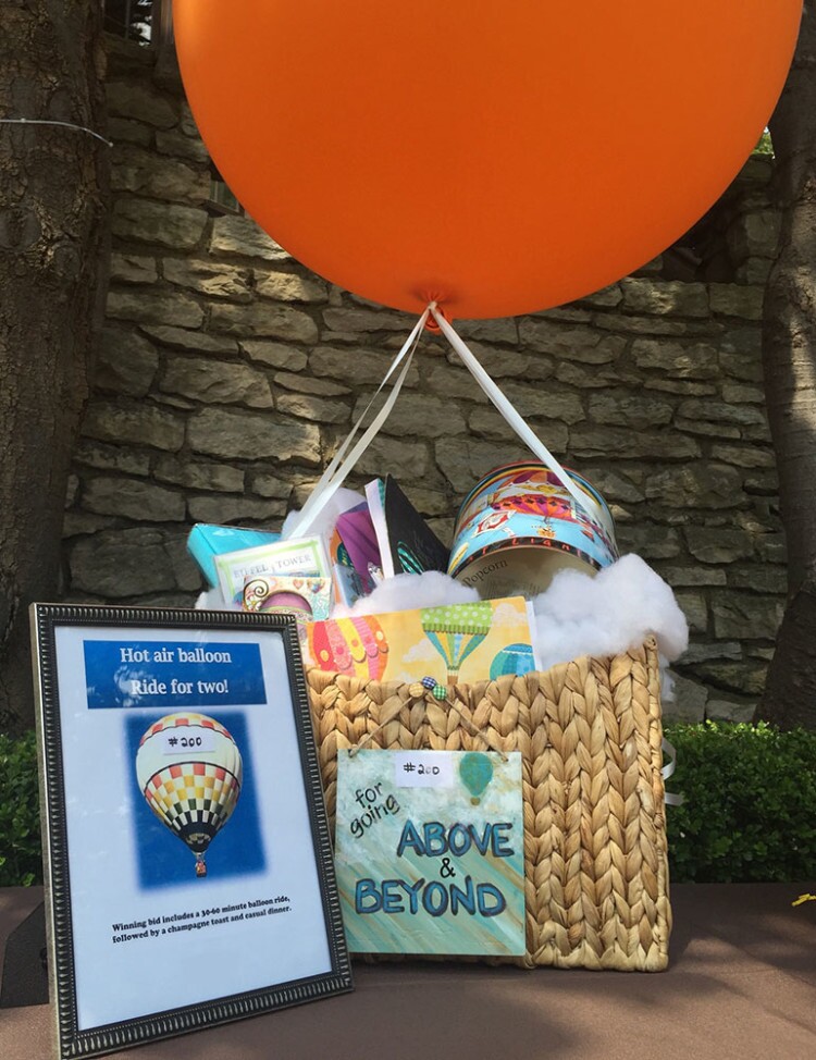 Qtego Silent Auction Item Ideas Hot Air Balloon